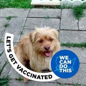 Meet your Posher, Leroy